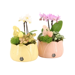 70848: Easter arrangement