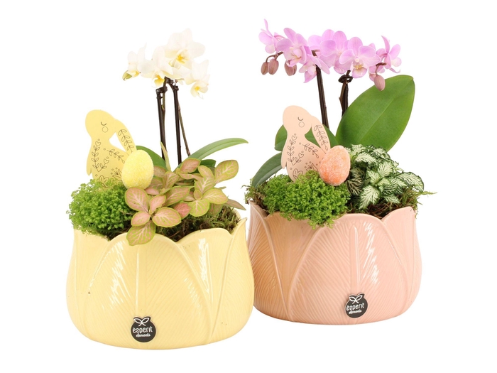 <h4>70848: Easter arrangement</h4>
