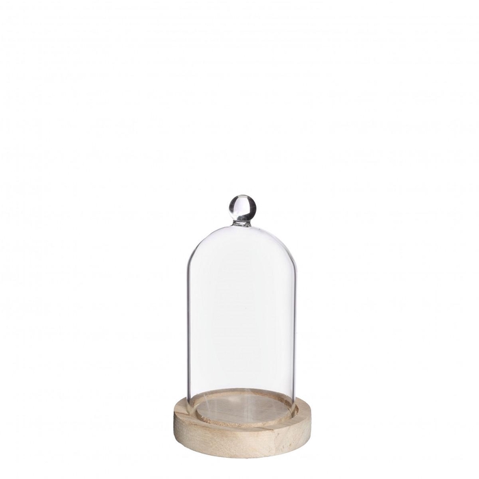 <h4>Glass Cloche Knob wood d08/10*17cm</h4>