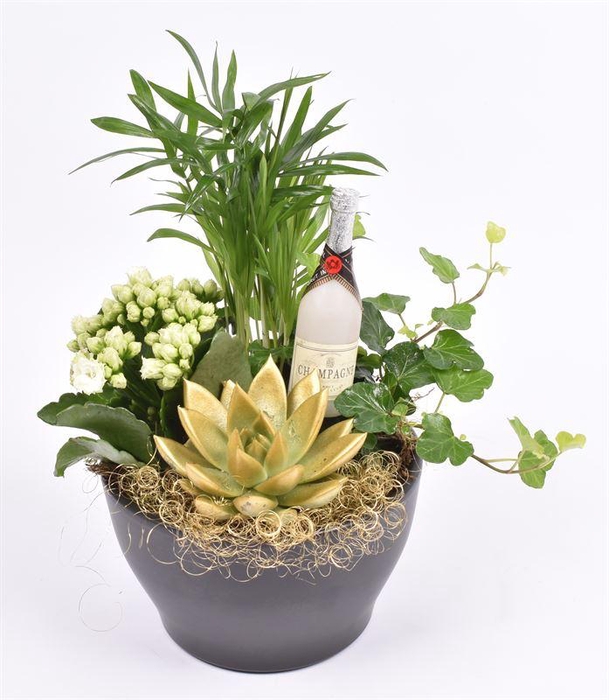 <h4>Ker. schaal mat zwart 15.5cm</h4>