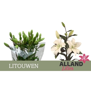 LI LA LITOUWEN