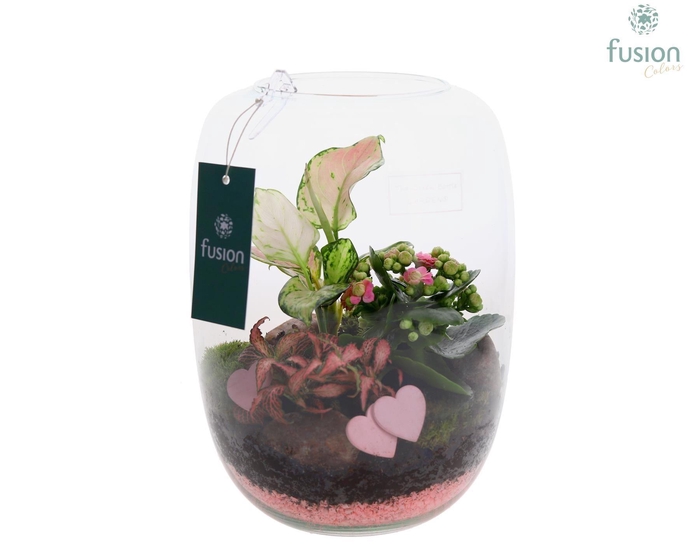 <h4>Planten  ..in schaal H%</h4>