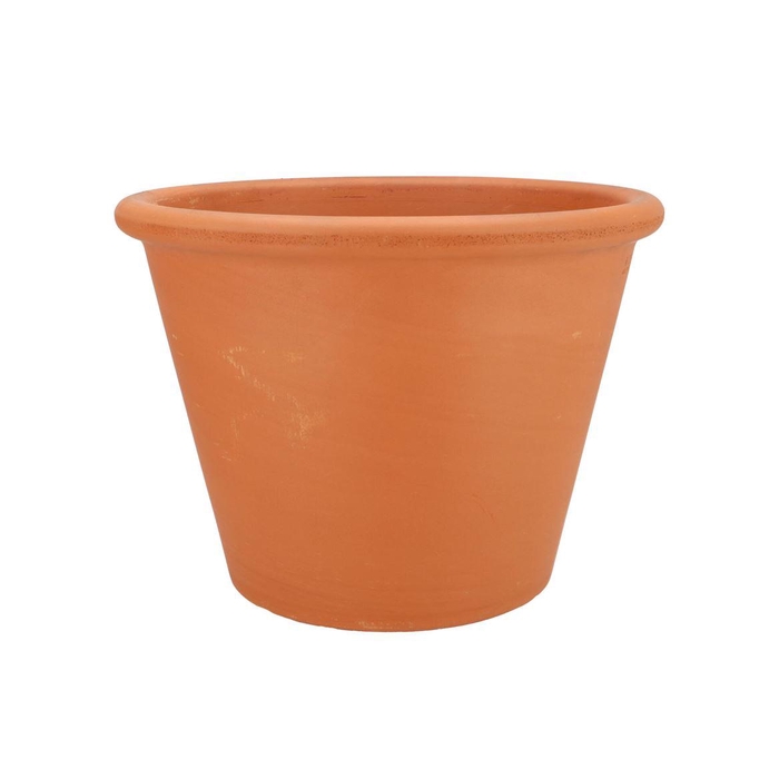 <h4>Terracotta Pompei Pot D31xh23cm</h4>