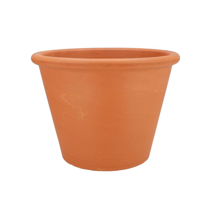 <h4>Terracotta Pompei Pot D31xh23cm</h4>