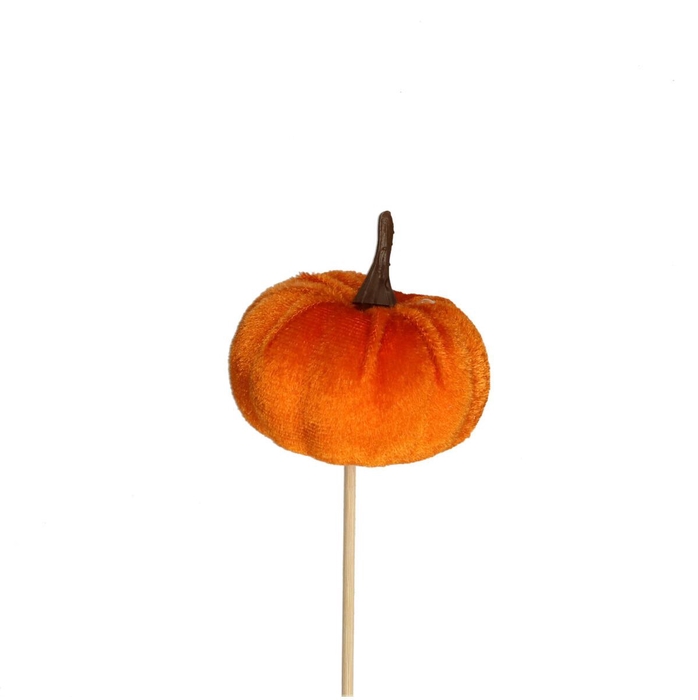 <h4>10cm Pompoen velvet 6cm</h4>