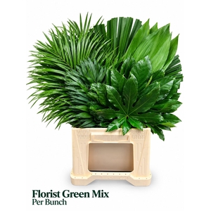DECOGROEN GEM