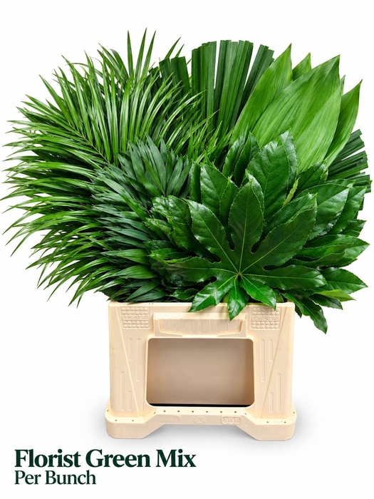 <h4>DECOGROEN GEM</h4>