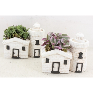 arr3 SN - Light house x8