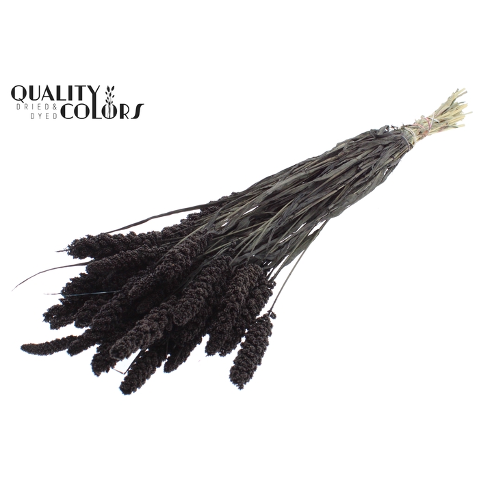 <h4>Gierst per bunch Black</h4>