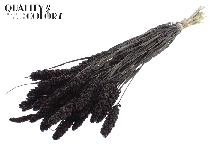 <h4>Gierst per bunch Black</h4>