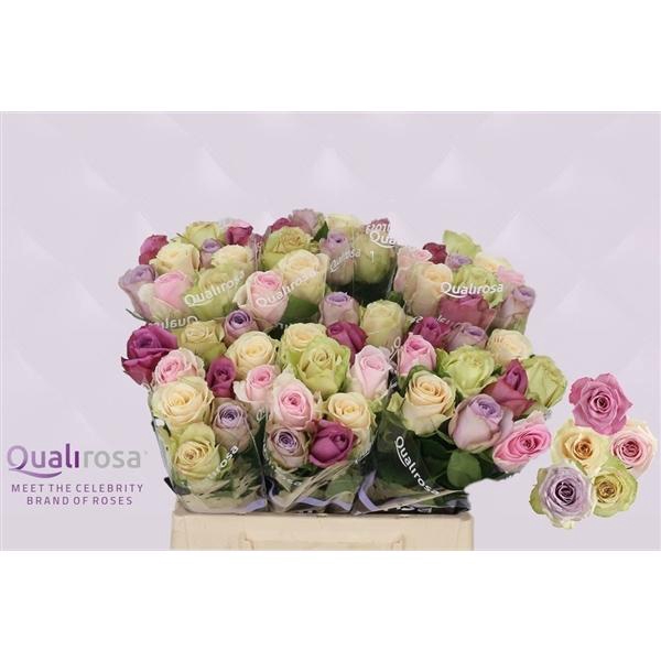 <h4>R Gr Mix Sweet Love</h4>