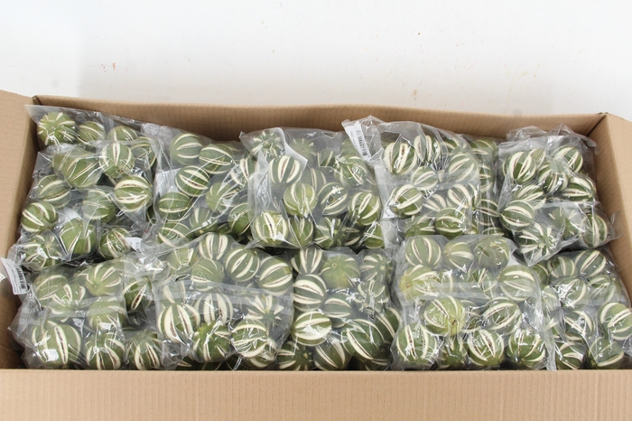 <h4>Frt Lime Whole Green (250g)</h4>