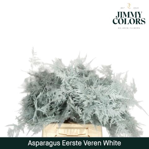 <h4>Aspa 1ste veren + glitter White + glitter</h4>