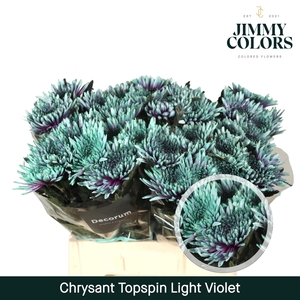 Chr G Topspin Light violet