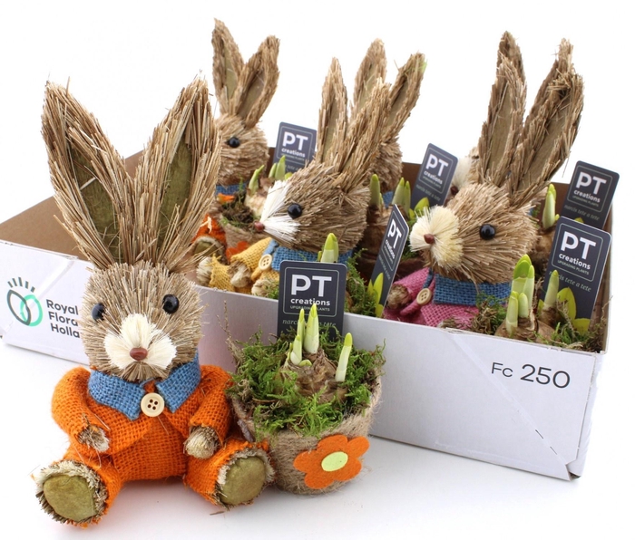 <h4>ARR N TETE A TETE</h4>