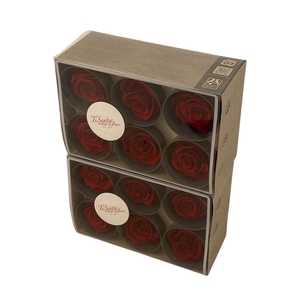 Arrangementen Potroos H%