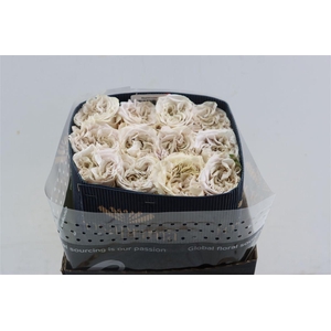 R Gr Westminster Abbey