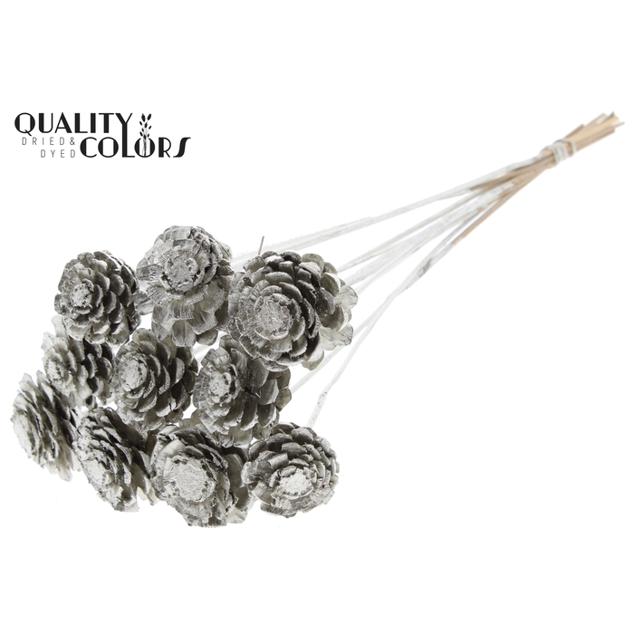<h4>Pine cone cut 5-7cm on stem Platina</h4>