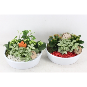 arr2 PL - Ker. schaal 25cm - rood/wit
