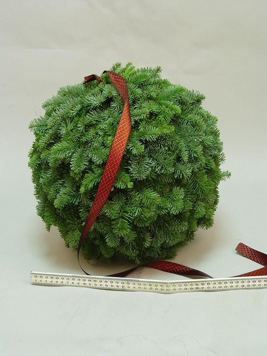 <h4>Nobilis ballen diameter 35cm besneeuwd</h4>