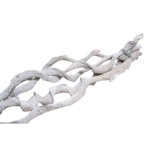 Bundle Curly Vine 5pc L60 D2/5