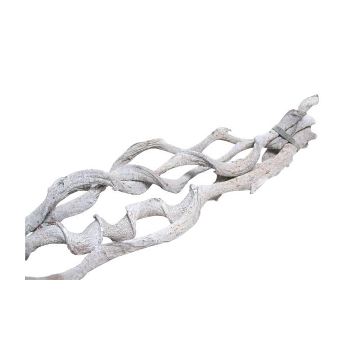 <h4>Bundle Curly Vine 5pc L60 D2/5</h4>