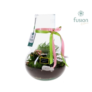 Green Bottle Olaf Large met Grootmoederdag arrangement