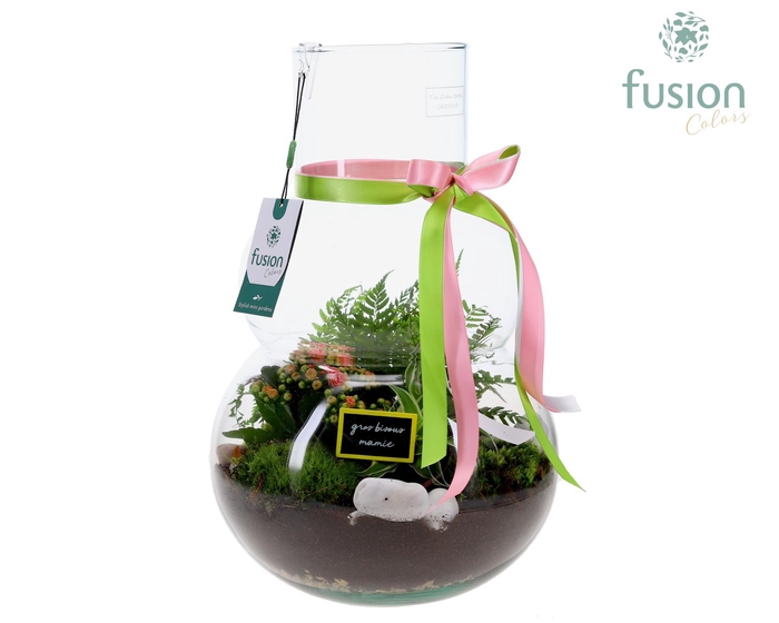 <h4>Green Bottle Olaf Large met Grootmoederdag arrangement</h4>