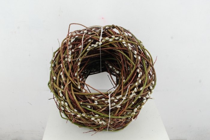 <h4>WREATH  PUSSY WILLOW Ø45CM</h4>