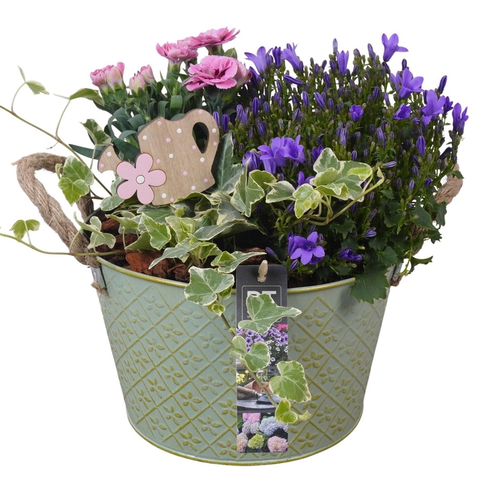 <h4>PTPP6894 Arrangement Patio in metalen schaal</h4>