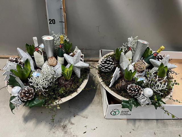 <h4>ARR BOL KNOLGEWAS</h4>