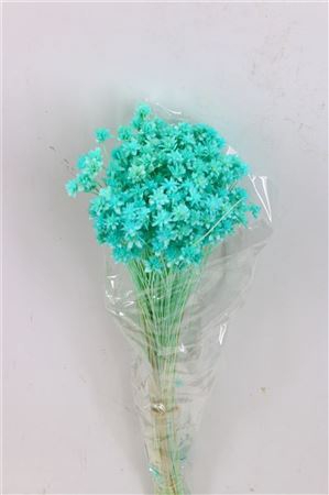 <h4>Pres Hill Flower Aqua Blue Bunch</h4>