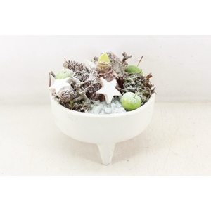 arr4 Amaryllis MB - Ker. schaal white pootjes