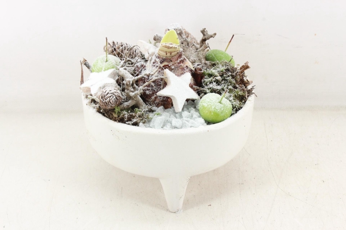 <h4>arr4 Amaryllis MB - Ker. schaal white pootjes</h4>