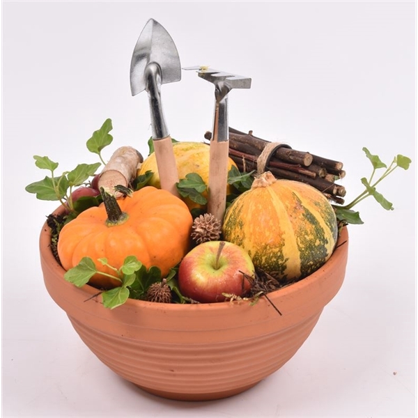 <h4>Arrangementen Sierfruit</h4>
