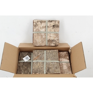 Birch Bark Pack 20x20cm(6p)