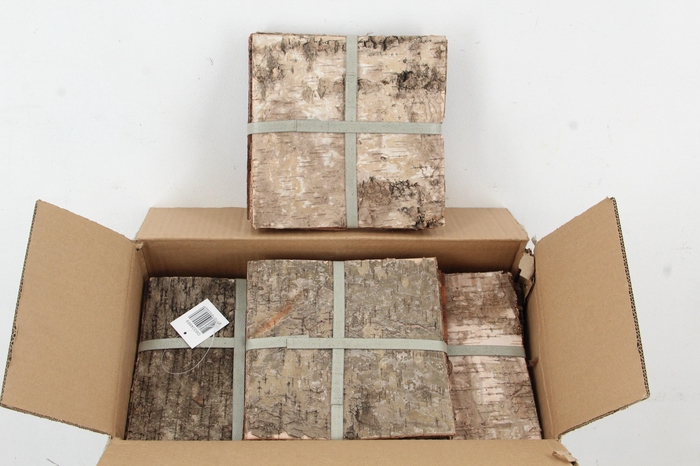 <h4>Birch Bark Pack 20x20cm(6p)</h4>
