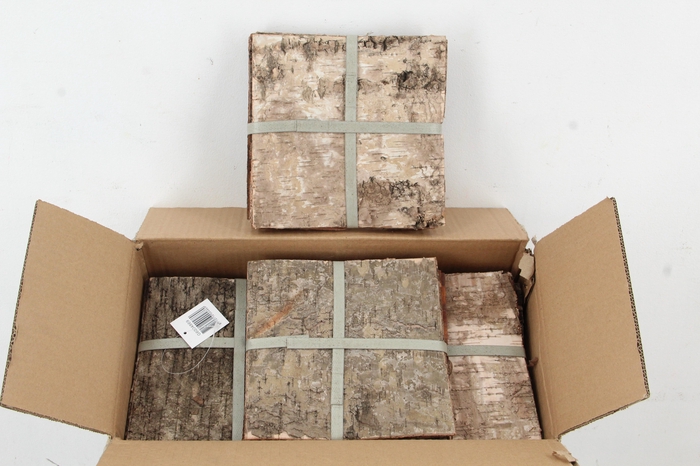 <h4>Birch Bark Pack 20x20cm(6p)</h4>