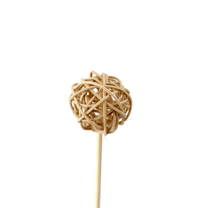 <h4>Bijsteker 50cm Bruceball 5cm</h4>