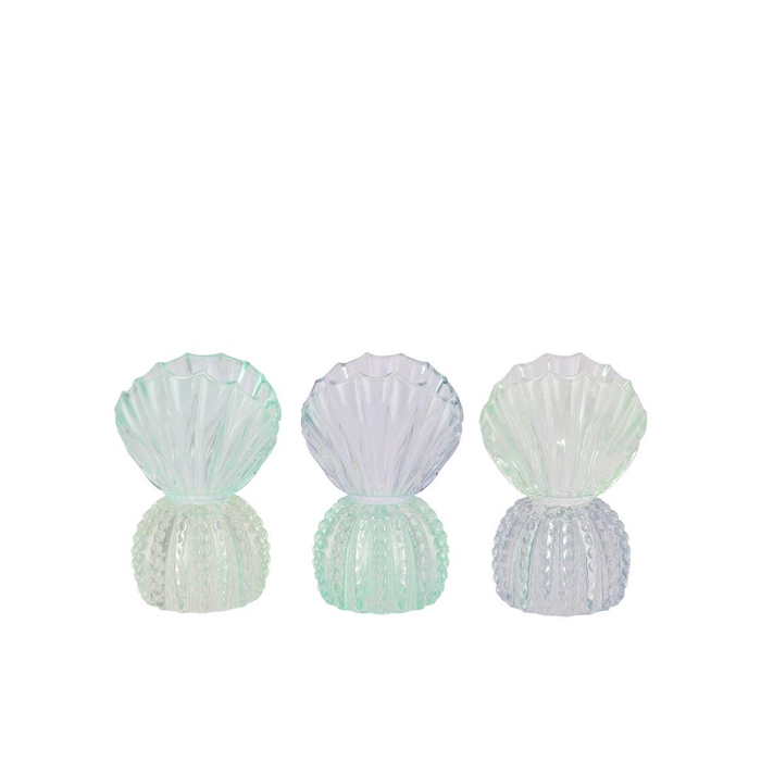<h4>Bicolore Blue T-light Shell Ass 9x10x15cm Nm</h4>
