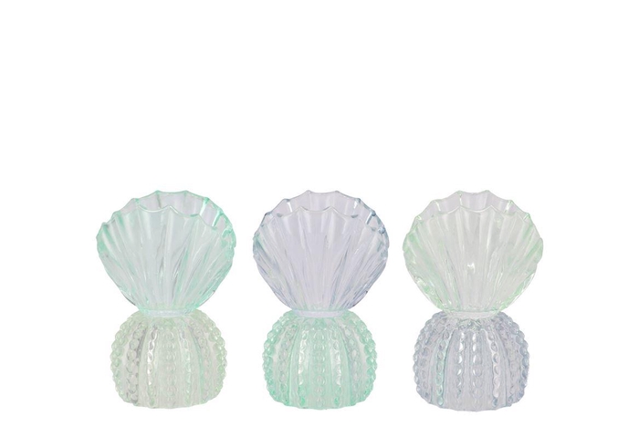 <h4>Bicolore Blue T-light Shell Ass 9x10x15cm</h4>