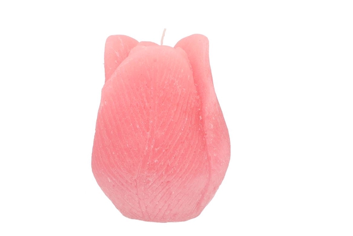 Candle Tulip Blush Pink 9x11cm