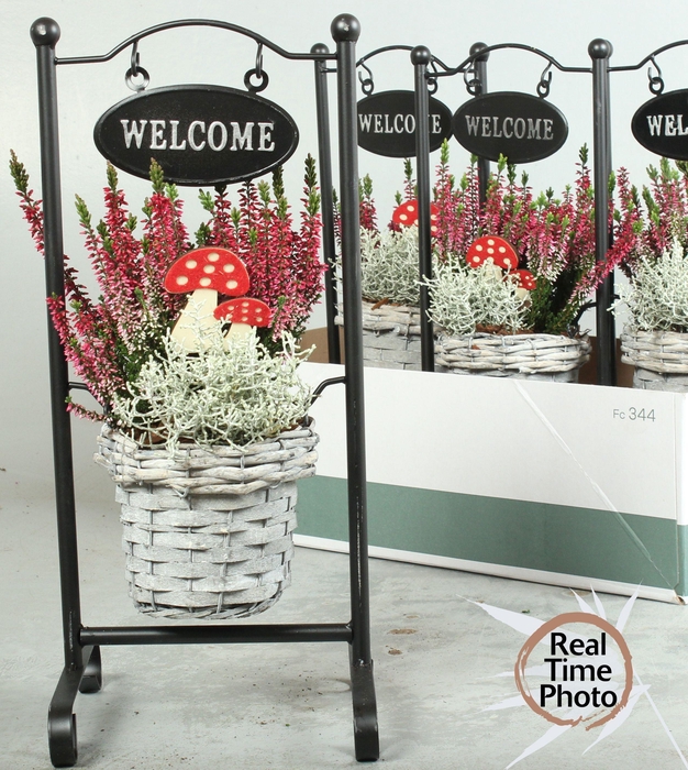 <h4>ARR TUINPLANTEN</h4>