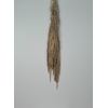 GESTABILISEERD AMARANTHUS (H) CREME