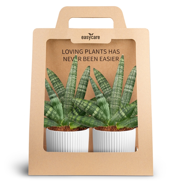 2-Pack Nordic White, Boncellen