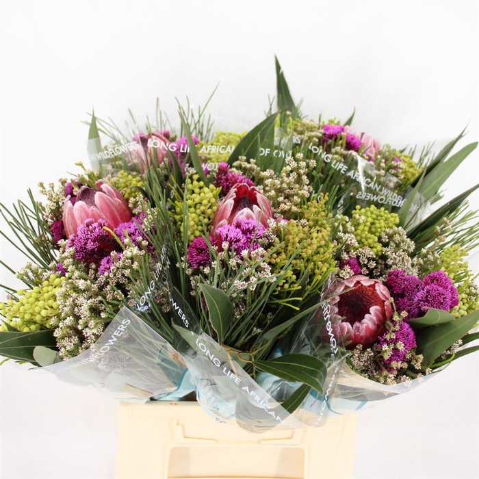 <h4>Bouquet Metalasia Cape Mix</h4>