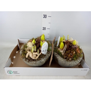 Arr.   Bol/Knolgewas L%