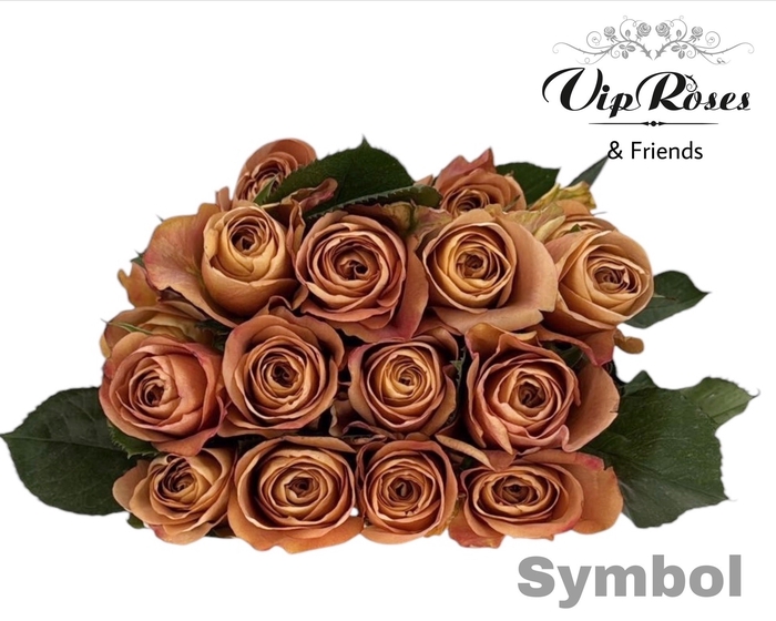 <h4>R GR SYMBOL</h4>