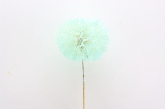 <h4>Pres Puste Flower Emerald</h4>