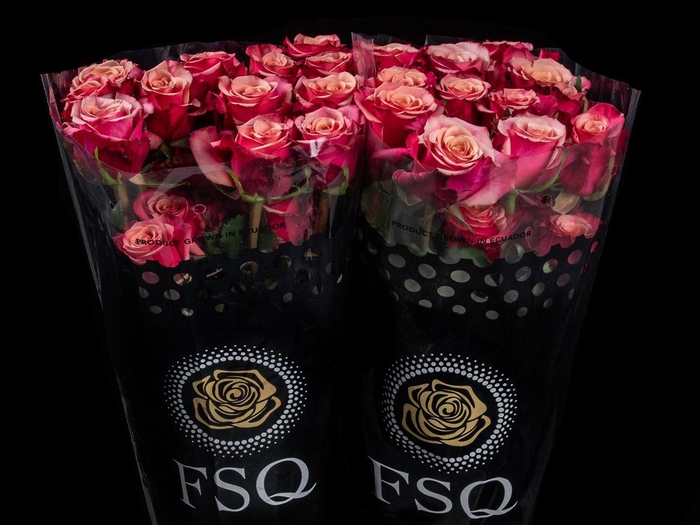 <h4>R GR Cold Brew</h4>